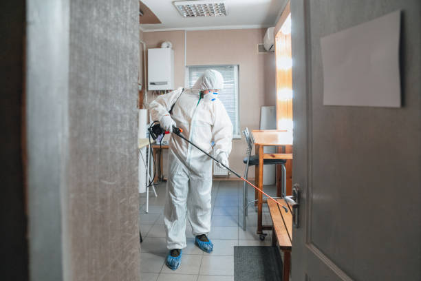 Best Water Damage & Mold Remediation  in Stoneville, NC
