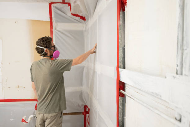 Best Post-Remediation Verification Testing  in Stoneville, NC