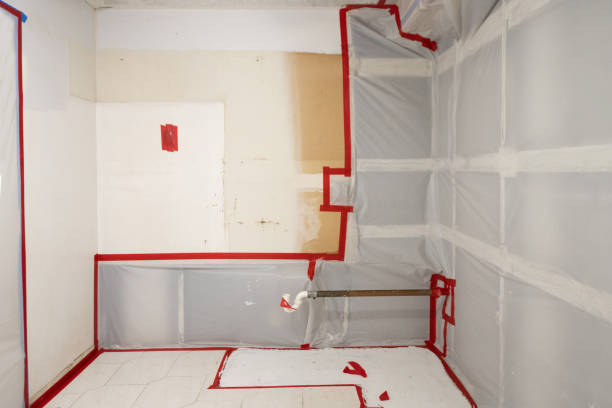 Best Mold-Related Health Consultation  in Stoneville, NC
