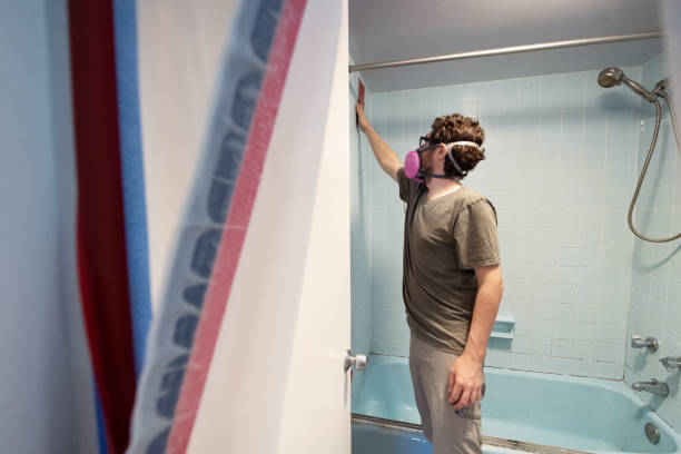  Stoneville, NC Mold Removal Pros