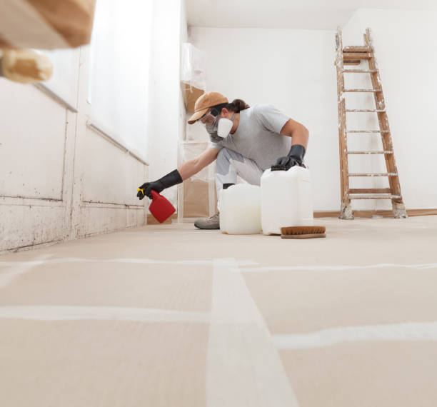 Best Black Mold Removal  in Stoneville, NC