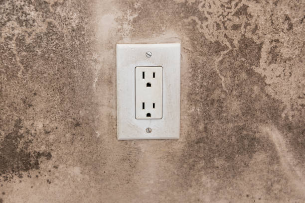 Best Mold Odor Removal Services  in Stoneville, NC